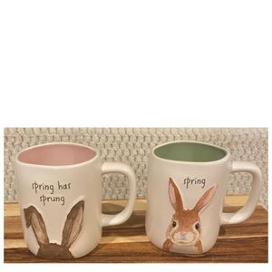 NEW Rae Dunn Easter Mug Set ~ Spring Has Sprung & Spring